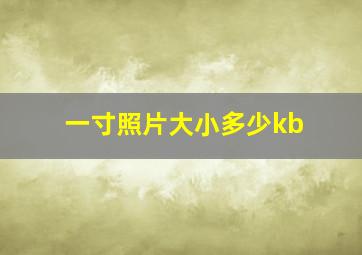 一寸照片大小多少kb