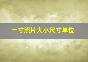 一寸照片大小尺寸单位