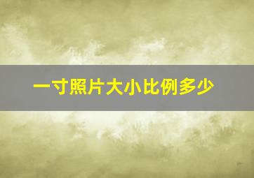 一寸照片大小比例多少