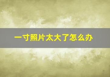 一寸照片太大了怎么办