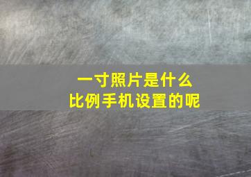 一寸照片是什么比例手机设置的呢