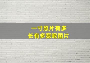 一寸照片有多长有多宽呢图片