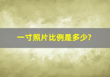 一寸照片比例是多少?