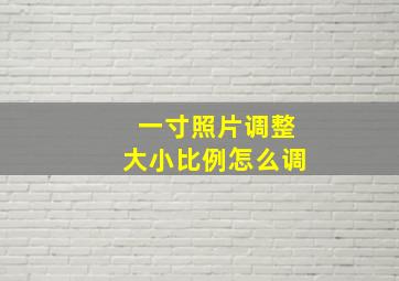 一寸照片调整大小比例怎么调