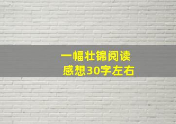 一幅壮锦阅读感想30字左右