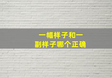 一幅样子和一副样子哪个正确