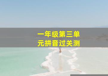 一年级第三单元拼音过关测