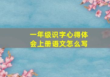 一年级识字心得体会上册语文怎么写