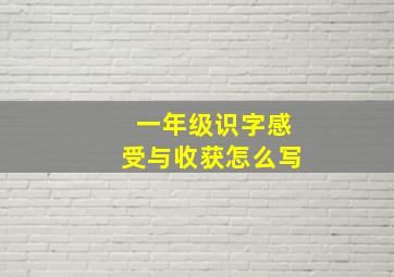 一年级识字感受与收获怎么写