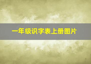 一年级识字表上册图片