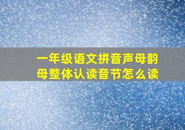 一年级语文拼音声母韵母整体认读音节怎么读