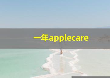 一年applecare+