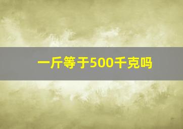 一斤等于500千克吗