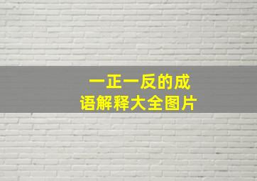 一正一反的成语解释大全图片