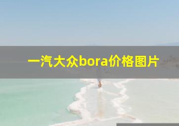 一汽大众bora价格图片