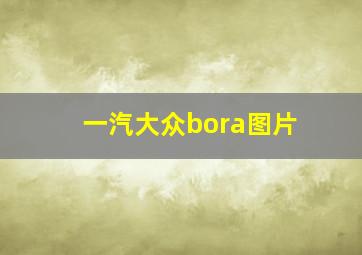 一汽大众bora图片