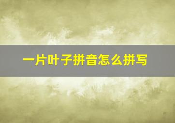 一片叶子拼音怎么拼写