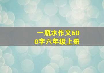 一瓶水作文600字六年级上册