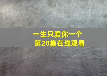 一生只爱你一个第20集在线观看