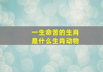 一生命苦的生肖是什么生肖动物