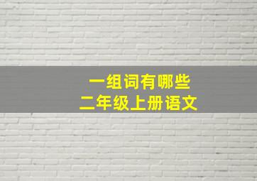 一组词有哪些二年级上册语文