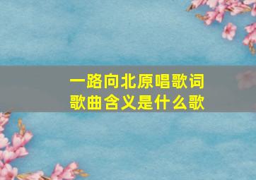 一路向北原唱歌词歌曲含义是什么歌