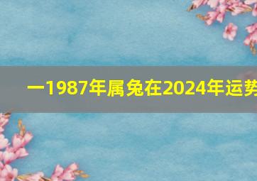 一1987年属兔在2024年运势