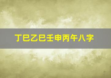 丁巳乙巳壬申丙午八字