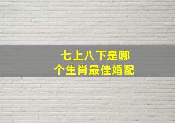 七上八下是哪个生肖最佳婚配