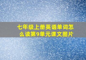 七年级上册英语单词怎么读第9单元课文图片