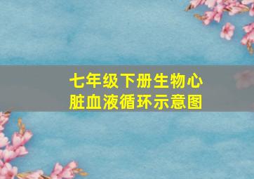 七年级下册生物心脏血液循环示意图