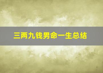 三两九钱男命一生总结