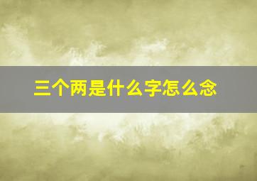 三个两是什么字怎么念