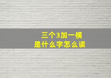 三个3加一横是什么字怎么读