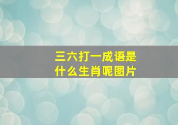 三六打一成语是什么生肖呢图片