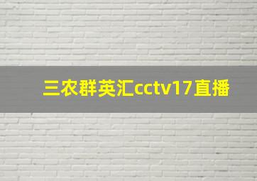 三农群英汇cctv17直播