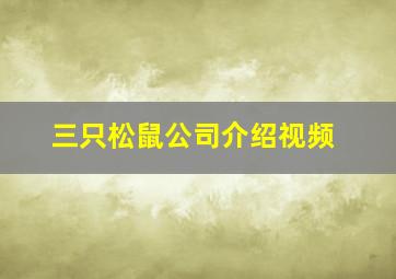 三只松鼠公司介绍视频