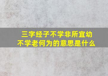 三字经子不学非所宜幼不学老何为的意思是什么