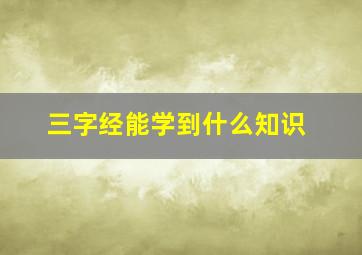 三字经能学到什么知识