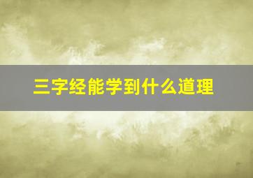 三字经能学到什么道理