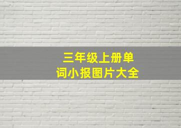 三年级上册单词小报图片大全