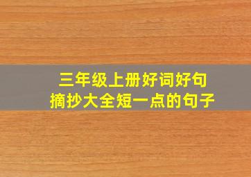 三年级上册好词好句摘抄大全短一点的句子