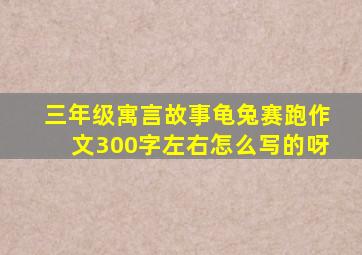 三年级寓言故事龟兔赛跑作文300字左右怎么写的呀