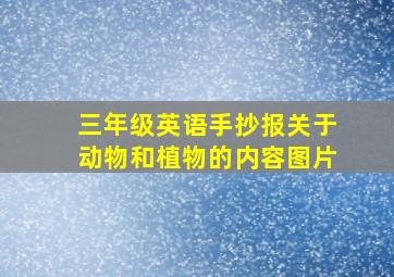 三年级英语手抄报关于动物和植物的内容图片