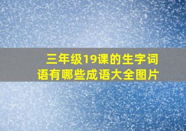 三年级19课的生字词语有哪些成语大全图片