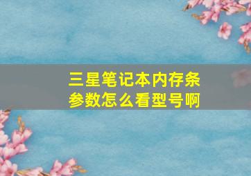 三星笔记本内存条参数怎么看型号啊