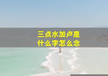 三点水加卢是什么字怎么念