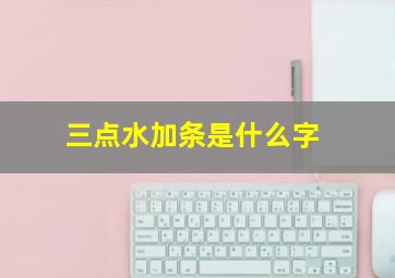 三点水加条是什么字