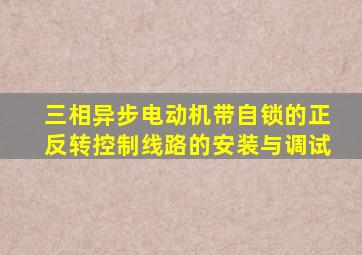 三相异步电动机带自锁的正反转控制线路的安装与调试