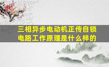 三相异步电动机正传自锁电路工作原理是什么样的